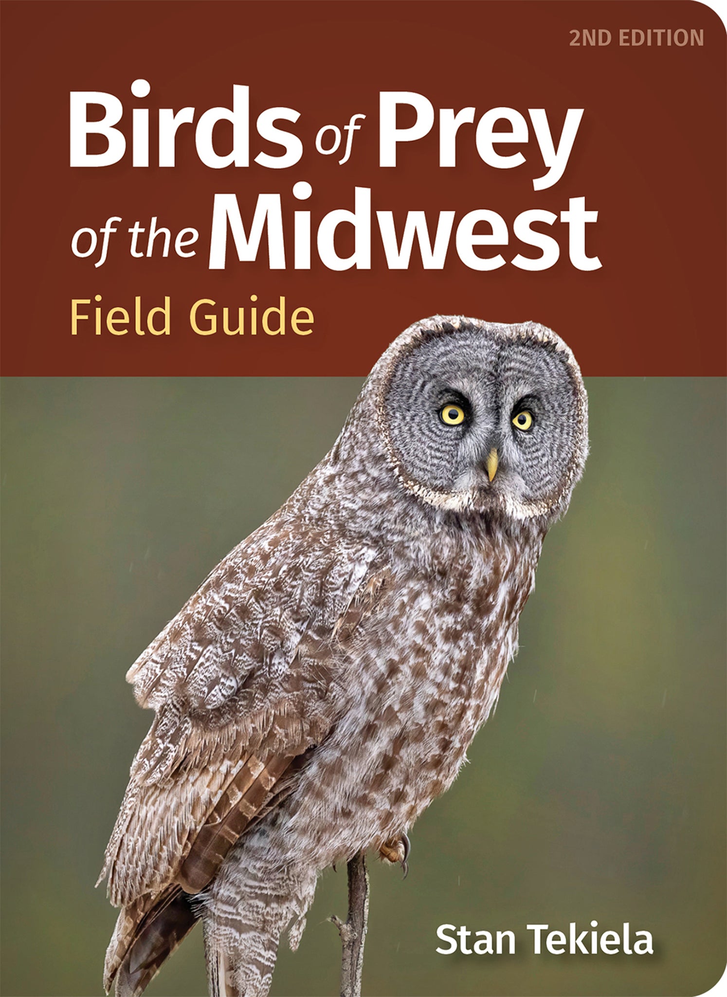 Cover image for Birds of Prey of the Midwest Field Guide ISBN 9781647556297